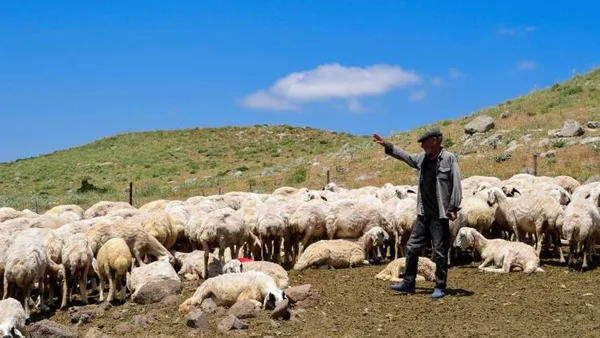 Haber Detayı