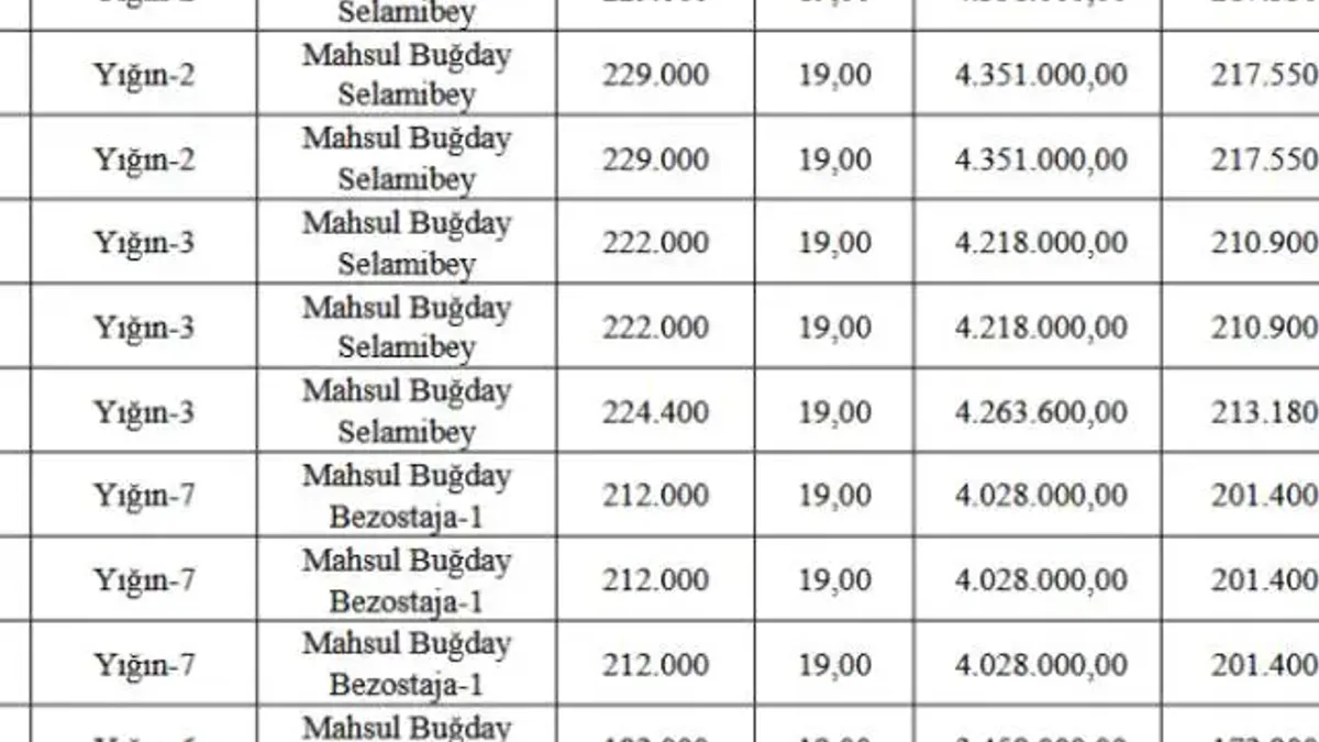Tigem polatlı tarım işletmesi mahsulü buğday için ihaleye çıkıyor - Detay Görsel 1