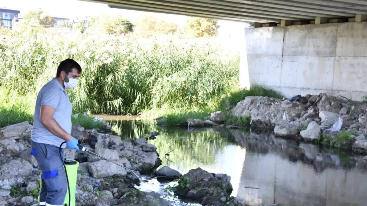 Çanakkale'de sinek tehdidine karşı önlemler alınıyor