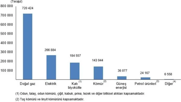 Haber Detayı
