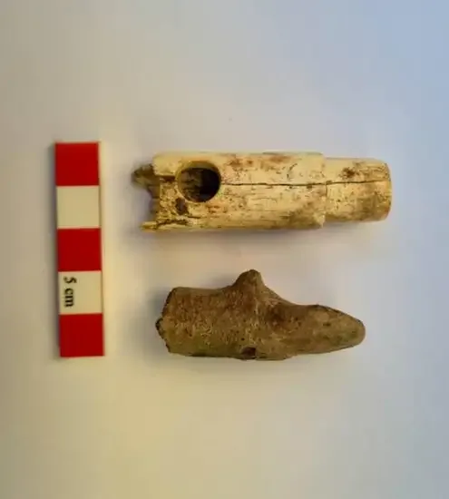 Troya'da kazılarda 2 bin 800 yıllık kemik flüt bulundu - Detay Görsel 2
