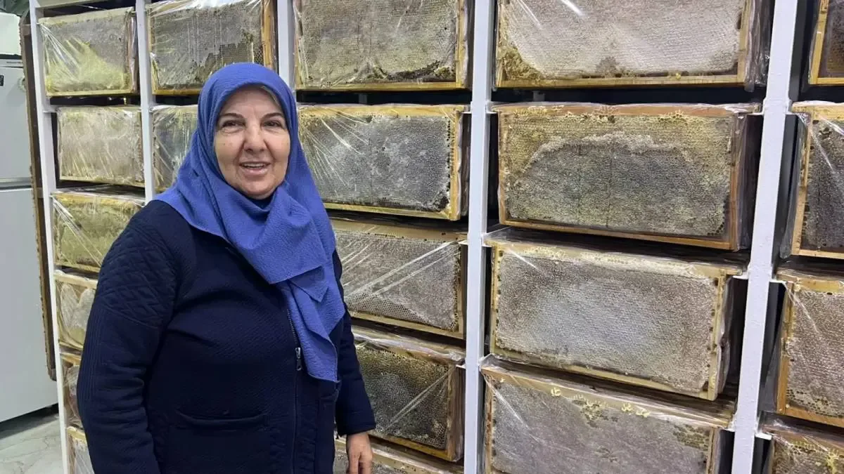 Ağrı'da arıların kışa hazırlık süreci.