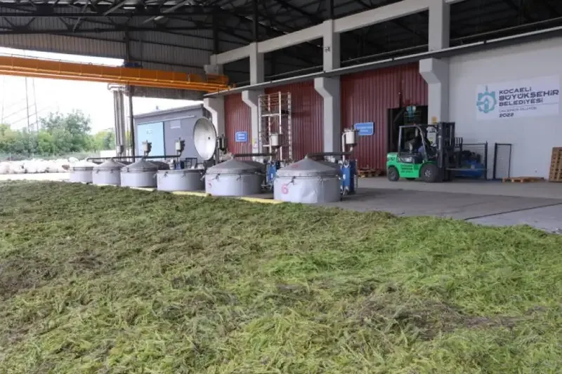 Tıbbi ve aromatik bitkiler Ormanya ile değer kazanıyor - Detay Görsel 2