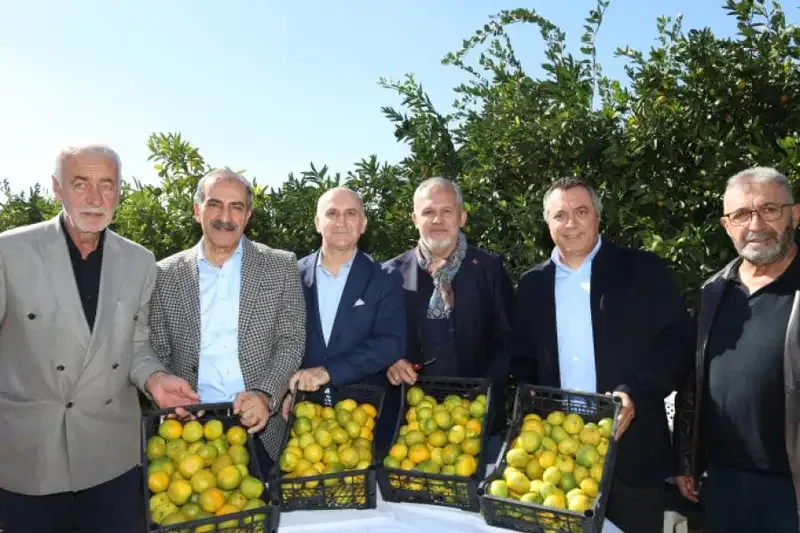 Satsuma mandalinasında ihracat sezonu başladı - Detay Görsel 1