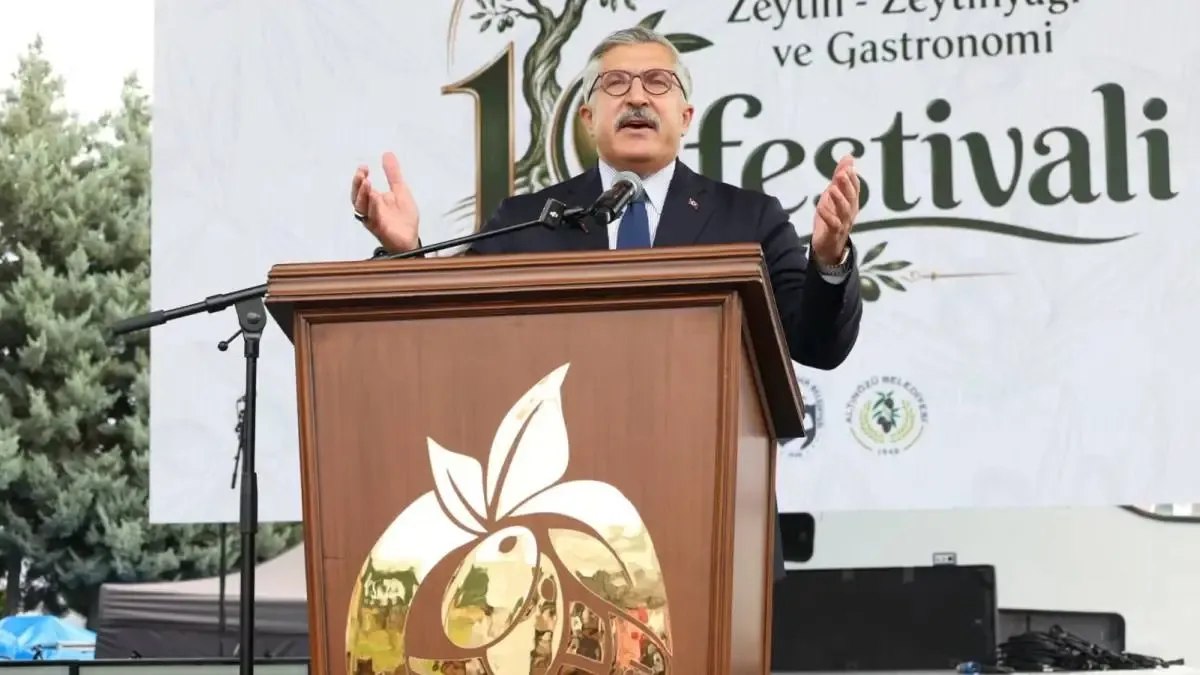 Hüseyin Yayman, Hatay'da zeytin hasadı yaparken.