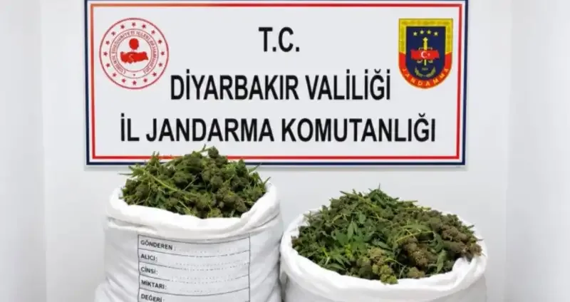 Diyarbakır'da geniş çaplı uyuşturucu operasyonu - Detay Görsel 1