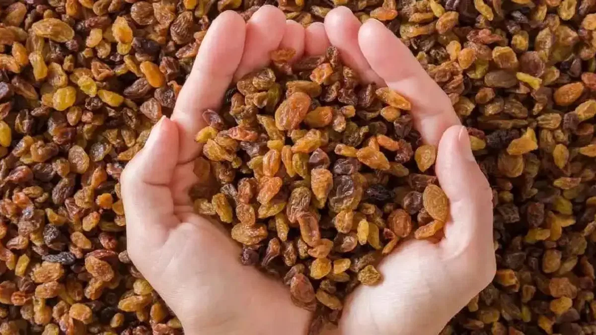 Çekirdeksiz kuru üzüm fiyatları belli oldu... Alımlar 15 Eylül'de başlıyor