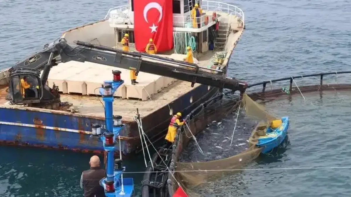 Avcılıkta artış, iç sularda düşüş!