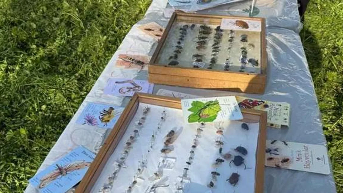 Bursa Osmangazi'de ‘Böcek Bilim’ buluşması yapıldı