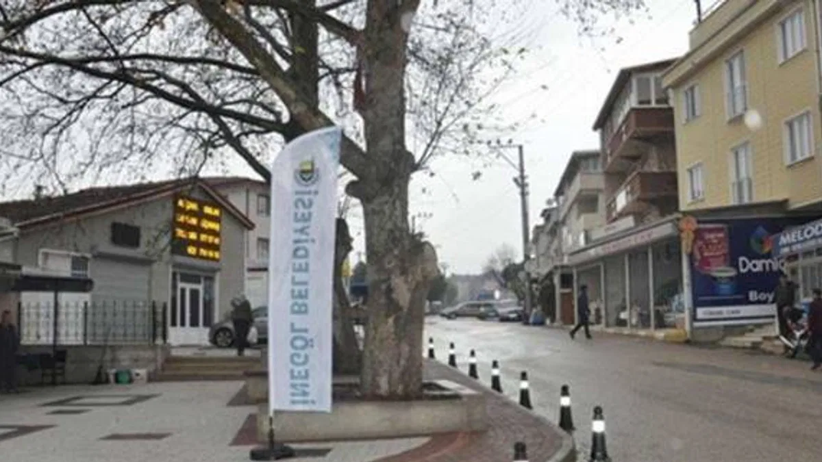 İnegöl Akhisar’da sokak hayvanlarına yardım eli çağrısı