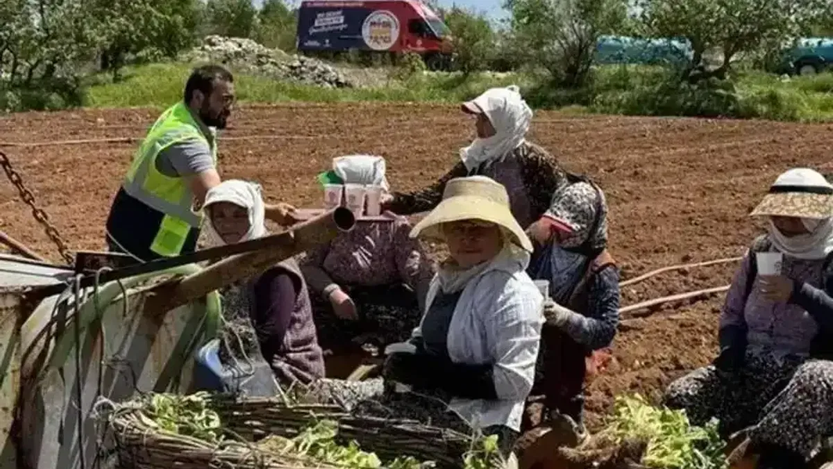 Denizli’de tarlalara ikram molası