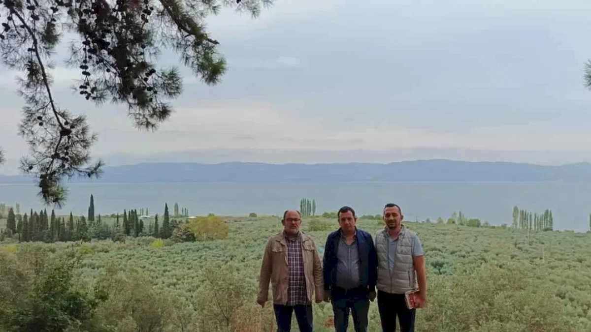 Marmarabirlik’ten 'anıt zeytin ağaçları'na özel marka vizyonu