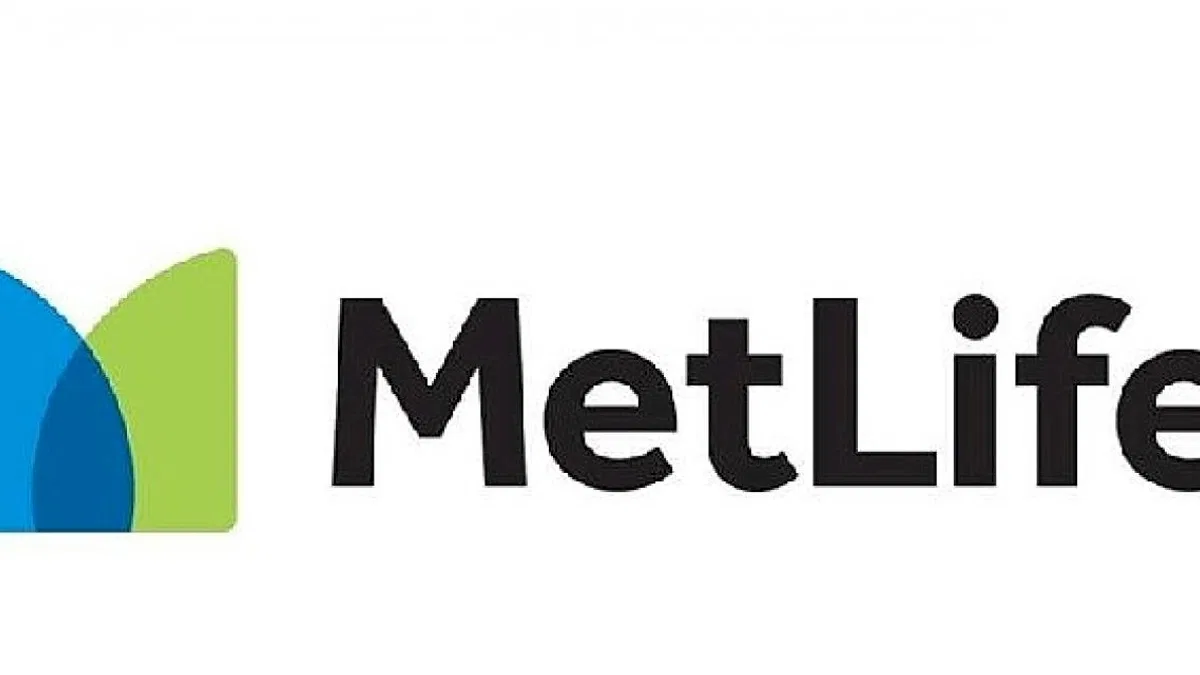 MetLife Türkiye Çalışanları, Daha Sürdürülebilir Bir Dünya için Gönüllü Çevre Temizliğine Devam Ediyor