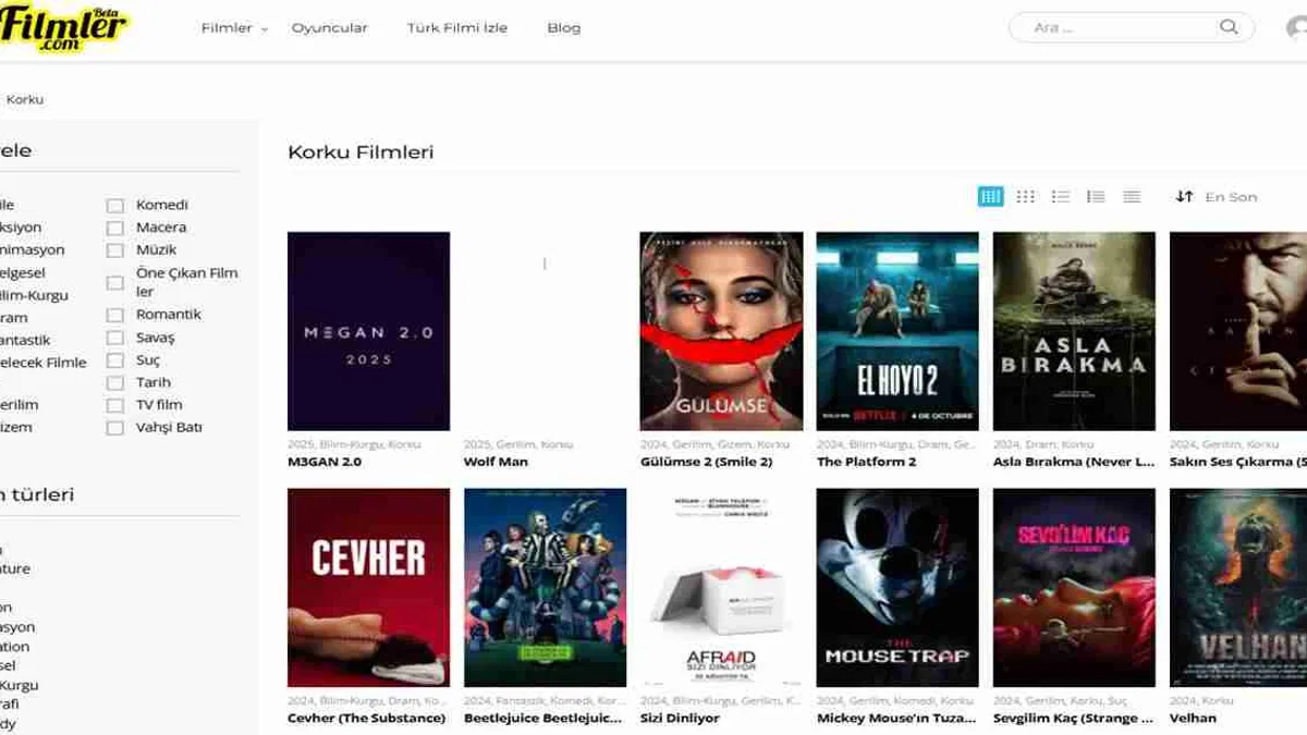 Korku Filmleri İzlerken Hangi Unsurlar Dikkat Çeker?