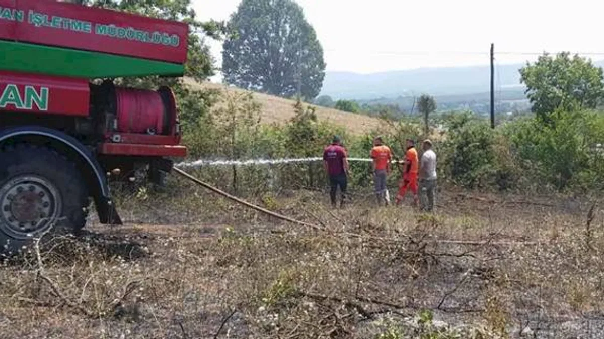 Bilecik’te arazi yangını! 1 kişi dumandan etkilendi