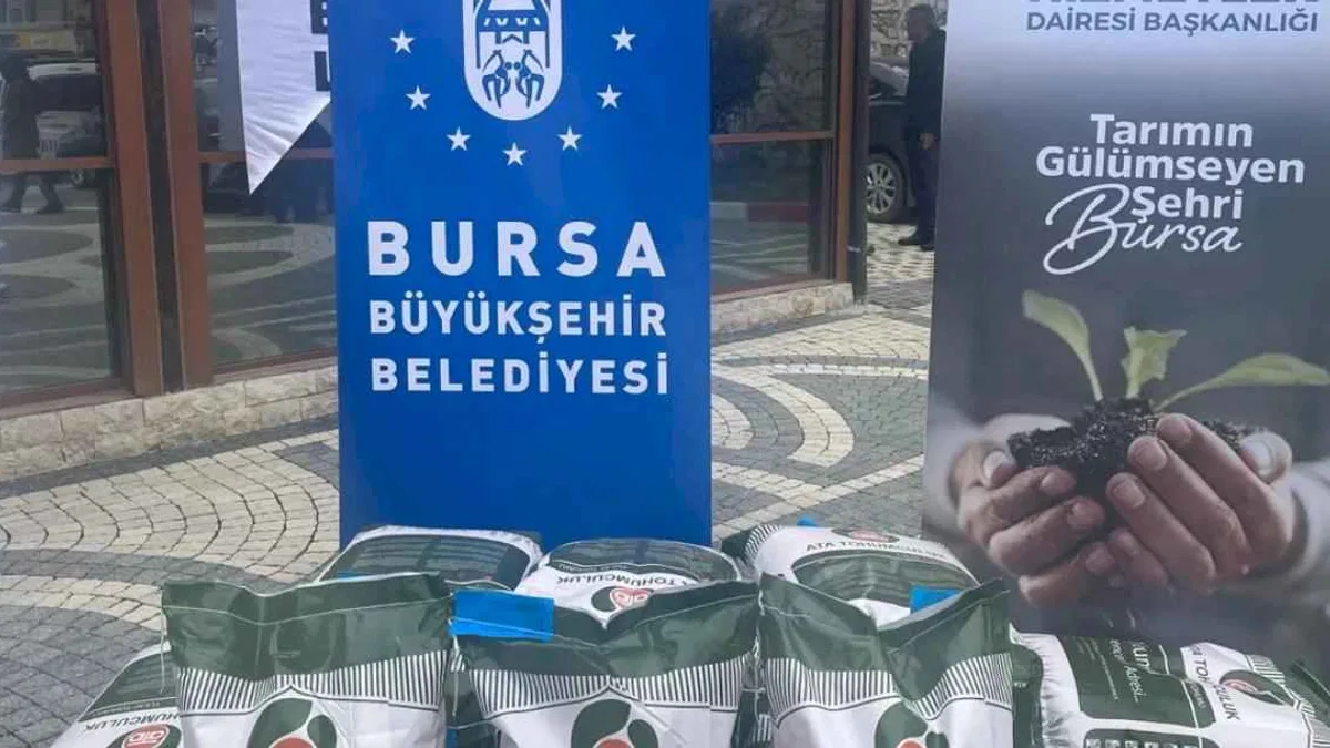 Bursa Büyükşehir'den çiftçiye tohum desteği