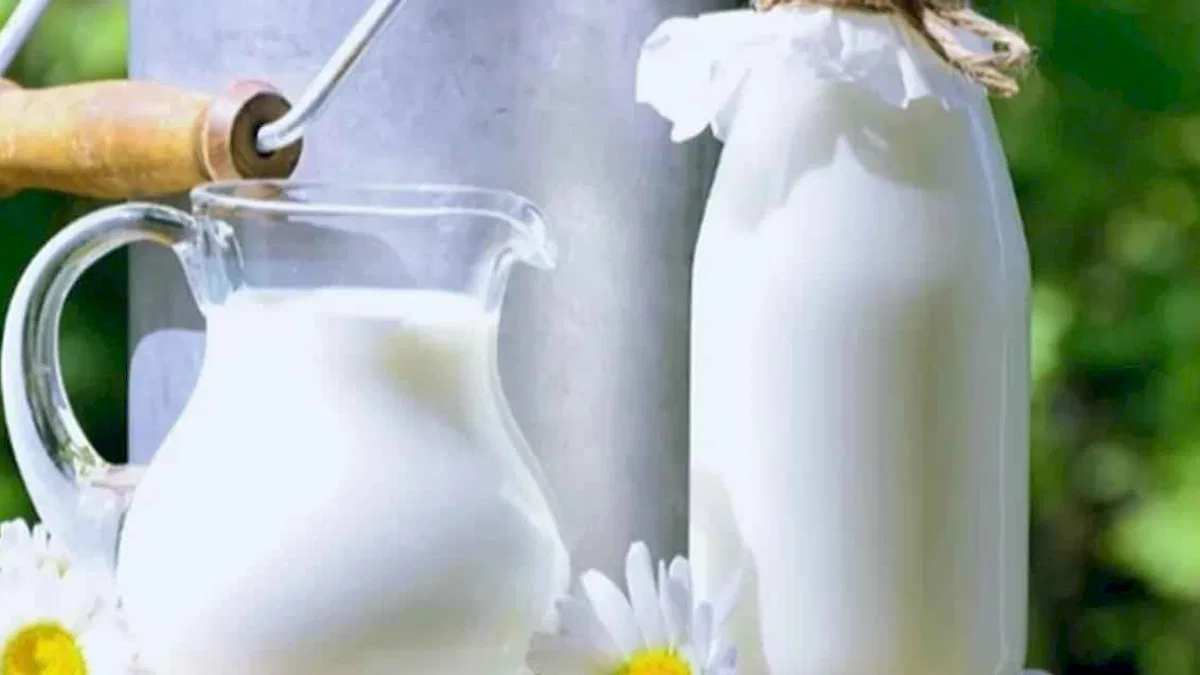 Çiğ süt primi litre başına 1 TL olacak