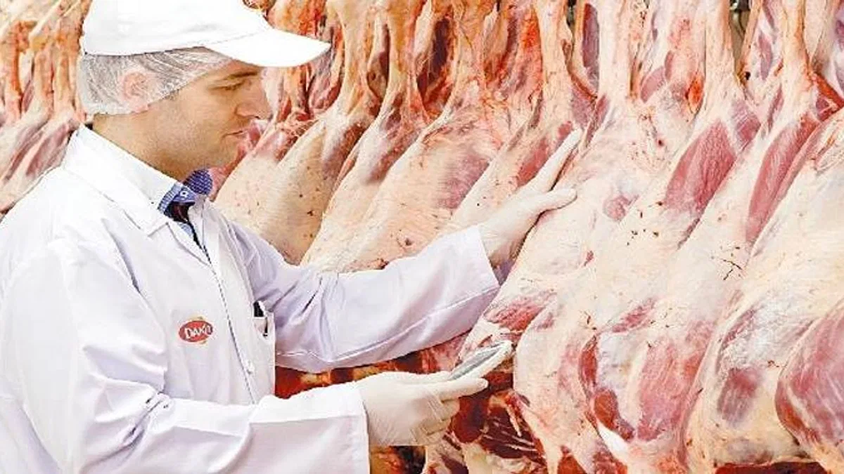 DANET'ten Sıcak Havalarda Et ve Et Ürünleri için Saklama ve Pişirme Önerileri