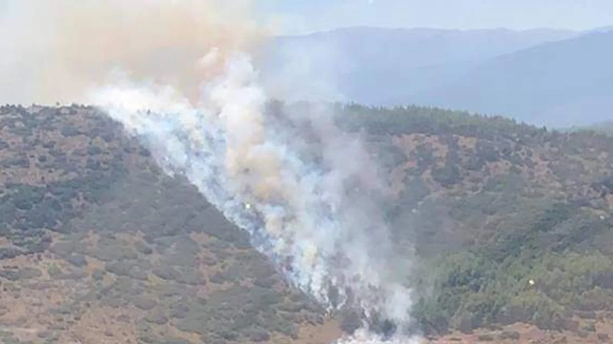 Burdur'da çıkan orman yangını kontrol altına alındı