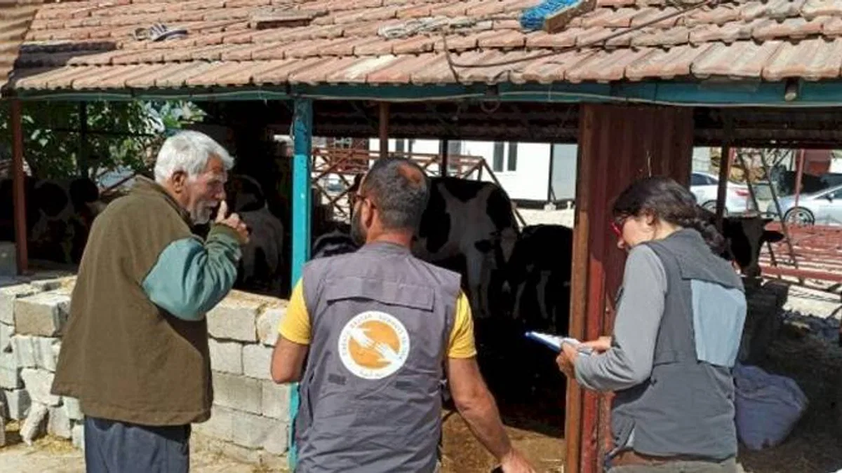 Afet bölgesinde yem ihtiyacı artıyor