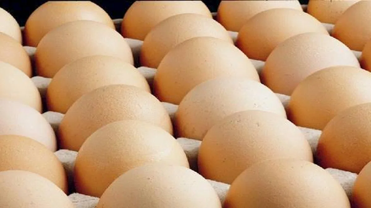 Yumurtacılardan 'yasak' isyanı