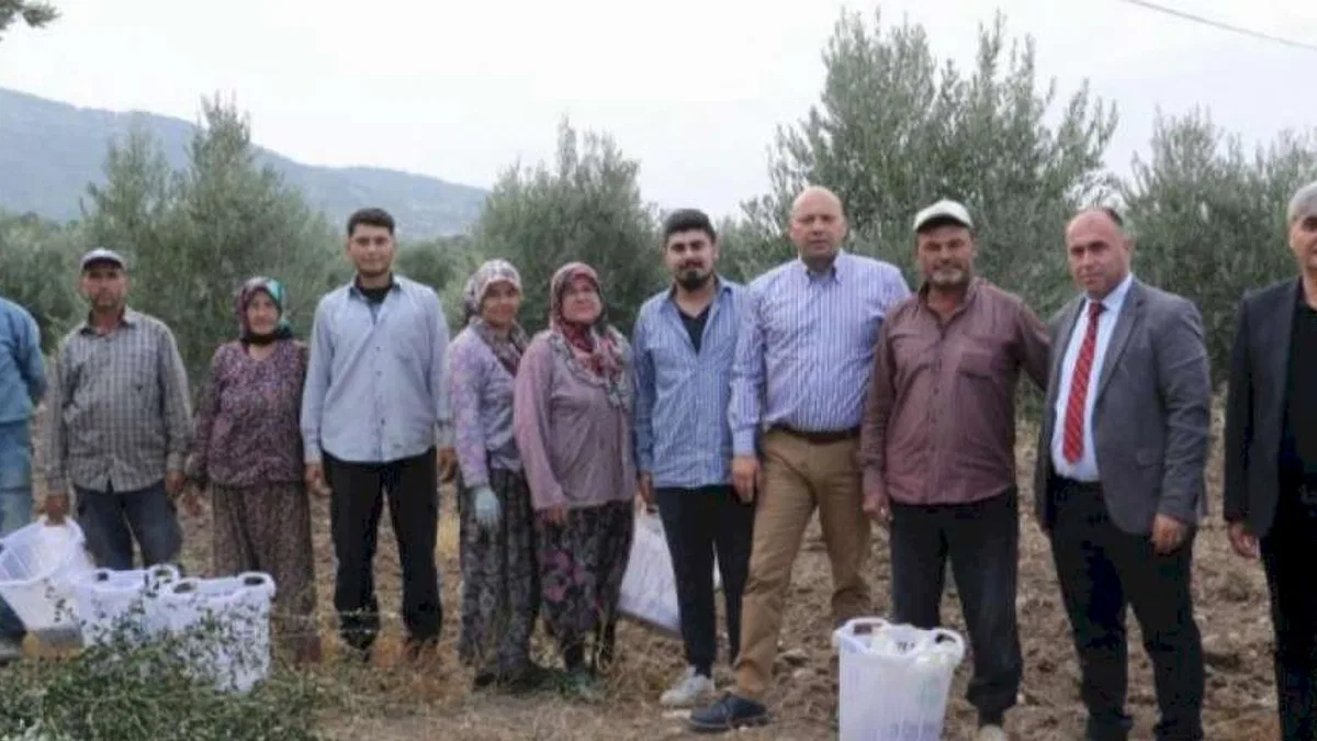 Manisalı üreticilere Büyükşehir desteği Saruhanlı'da sürdü