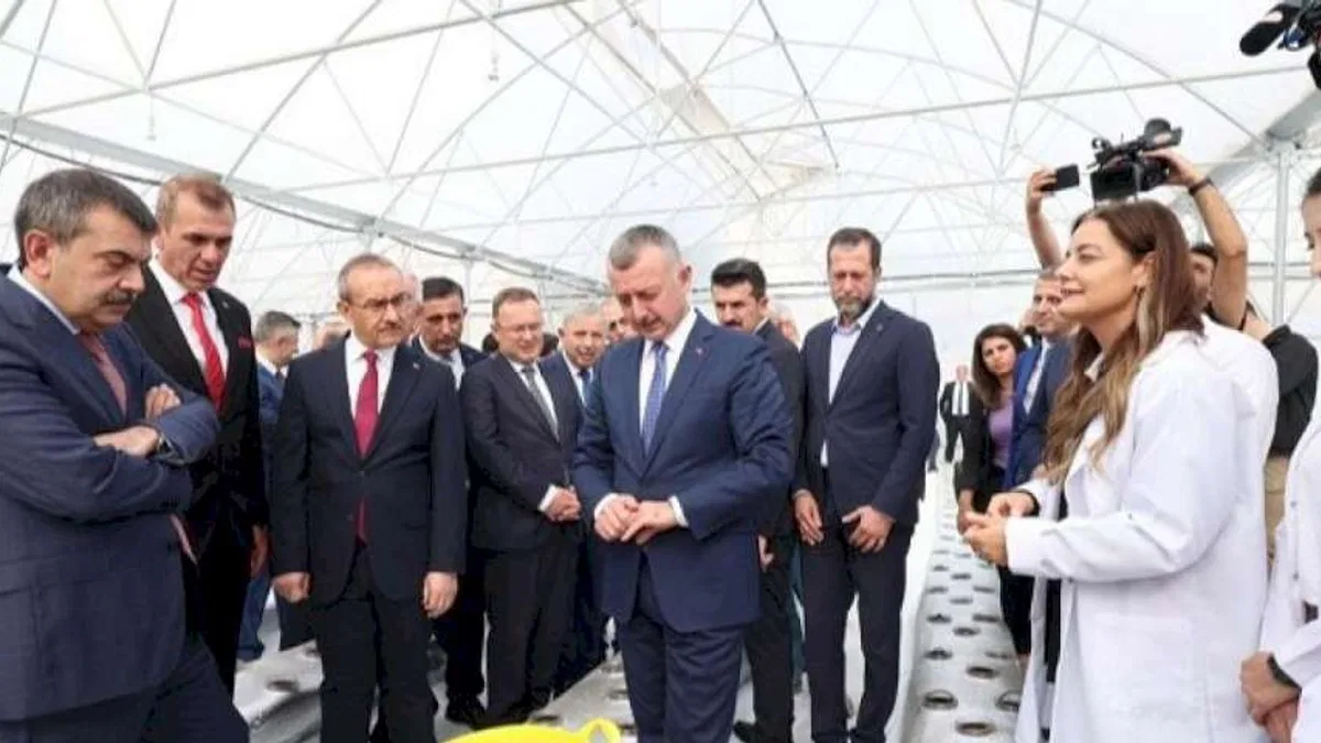 Kocaeli'nde öğrenciler  Ar-Ge serasında çilek yetiştiriyor