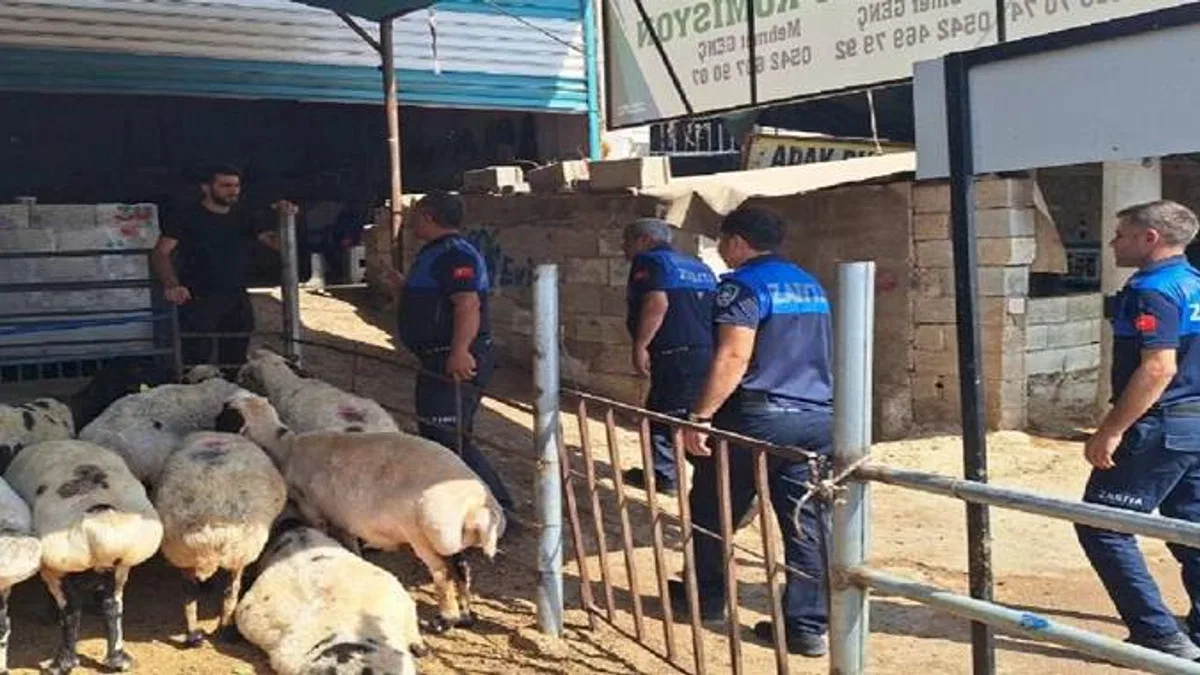 Zabıtadan kaçak kesim uyarısı