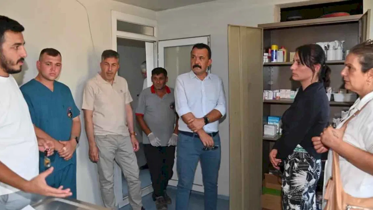 Manisa’da sokak hayvanları için yeni yaşam alanları oluşturuluyor