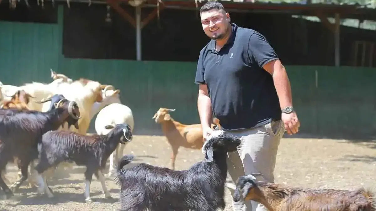 Adak kesimine gitti hayatı değişti! İki oğlakla başladı, 500 hayvana ulaştı