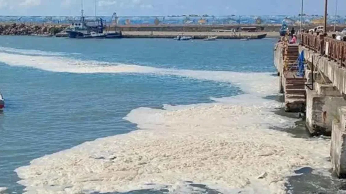 Müsilaj büyüyerek Ege ve Karadeniz’e gidecek