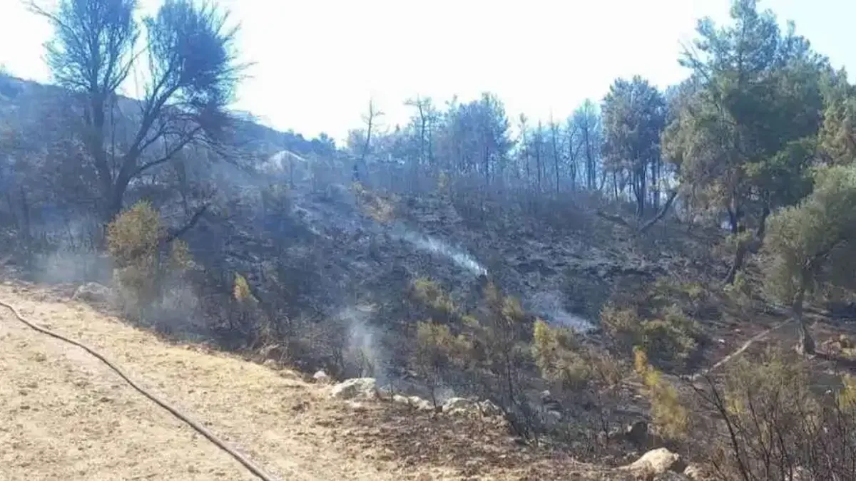 Buca ve Aliağa’da çıkan yangınlar kontrol altında