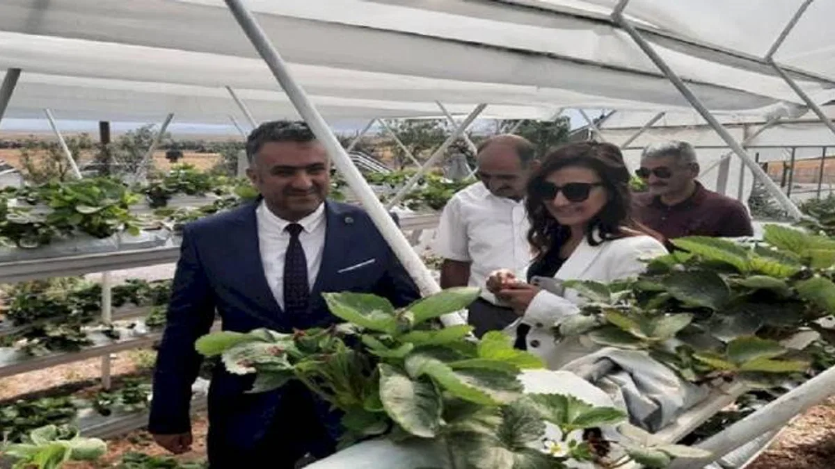 Eskişehir'in kırsal kalkınmasına BEBKA desteği
