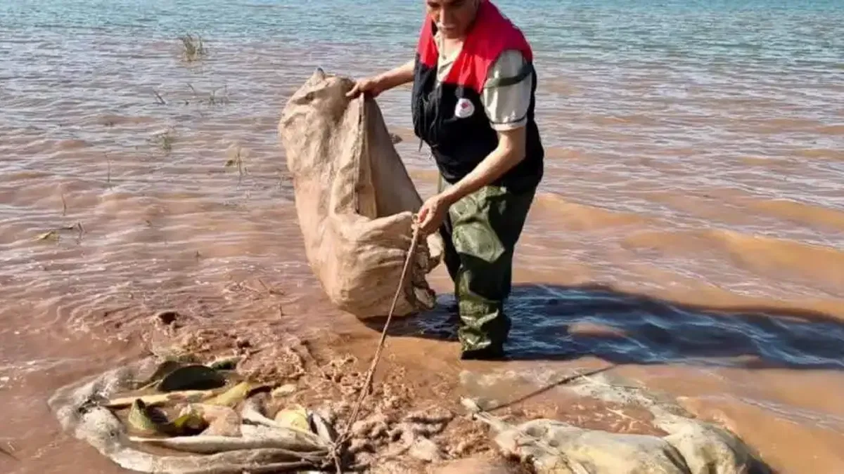 Keban Baraj Gölü’nde 700 kilo canlı sazan kurtarıldı!