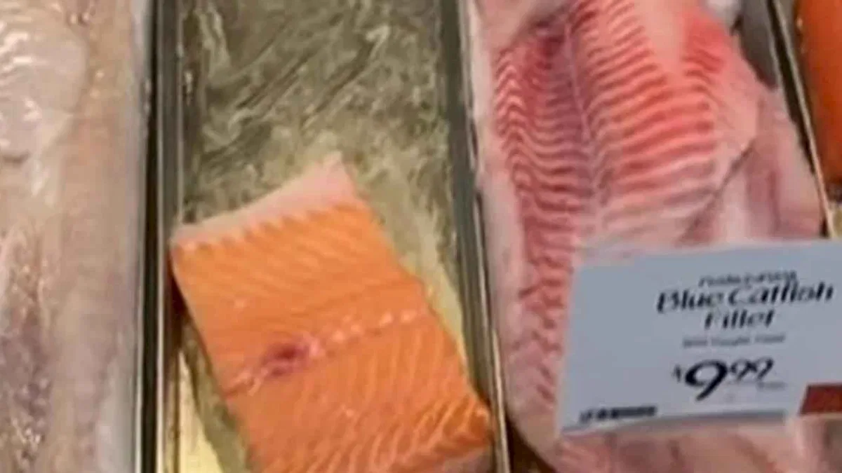ABD'deki marketlerde 'boyalı' somon satışı artıyor!