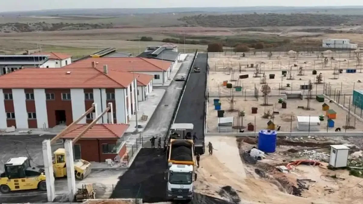 Eskişehir'de hayvan barınağında sona yaklaşılıyor