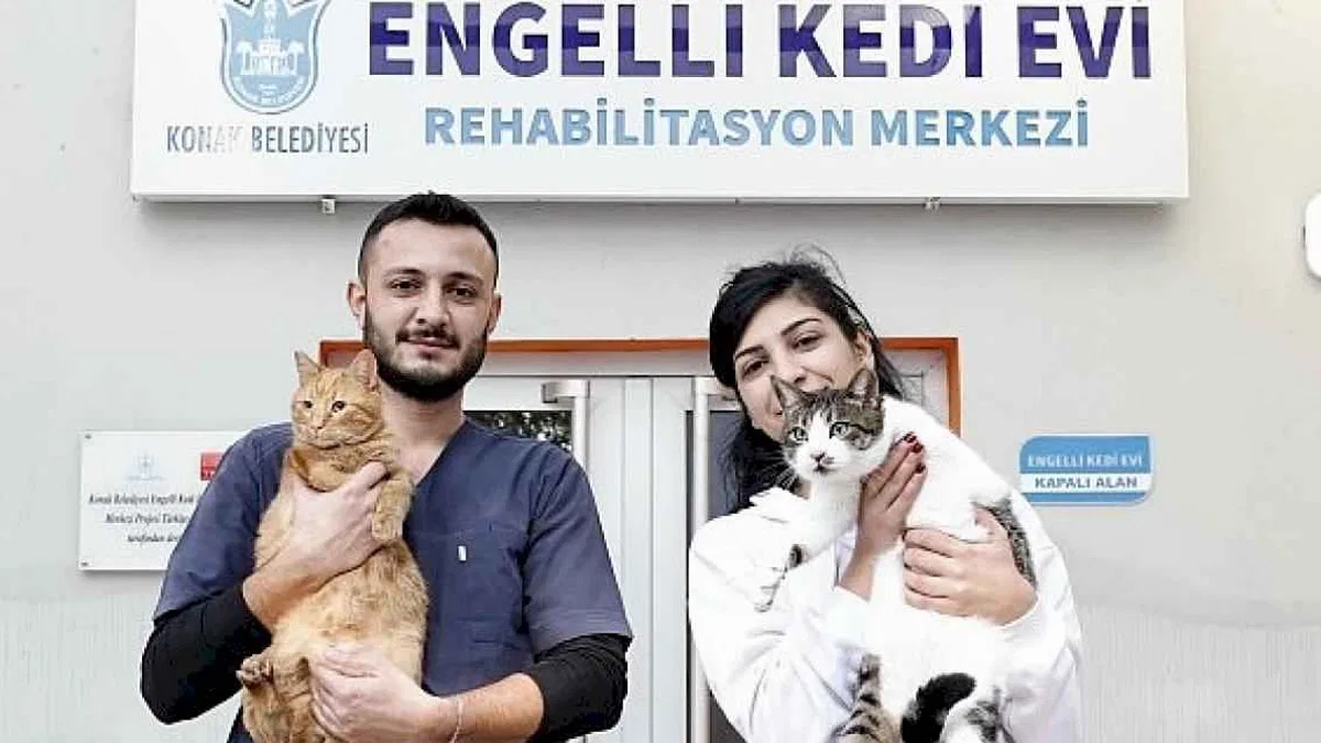 Konak'ın engelleri aşan Kedi Evi'nden sahiplenme çağrısı