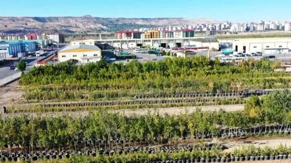 Başkan Çolakbayrakdar, “Yeşil ve daha yeşil bir Kayseri için çalışıyoruz”