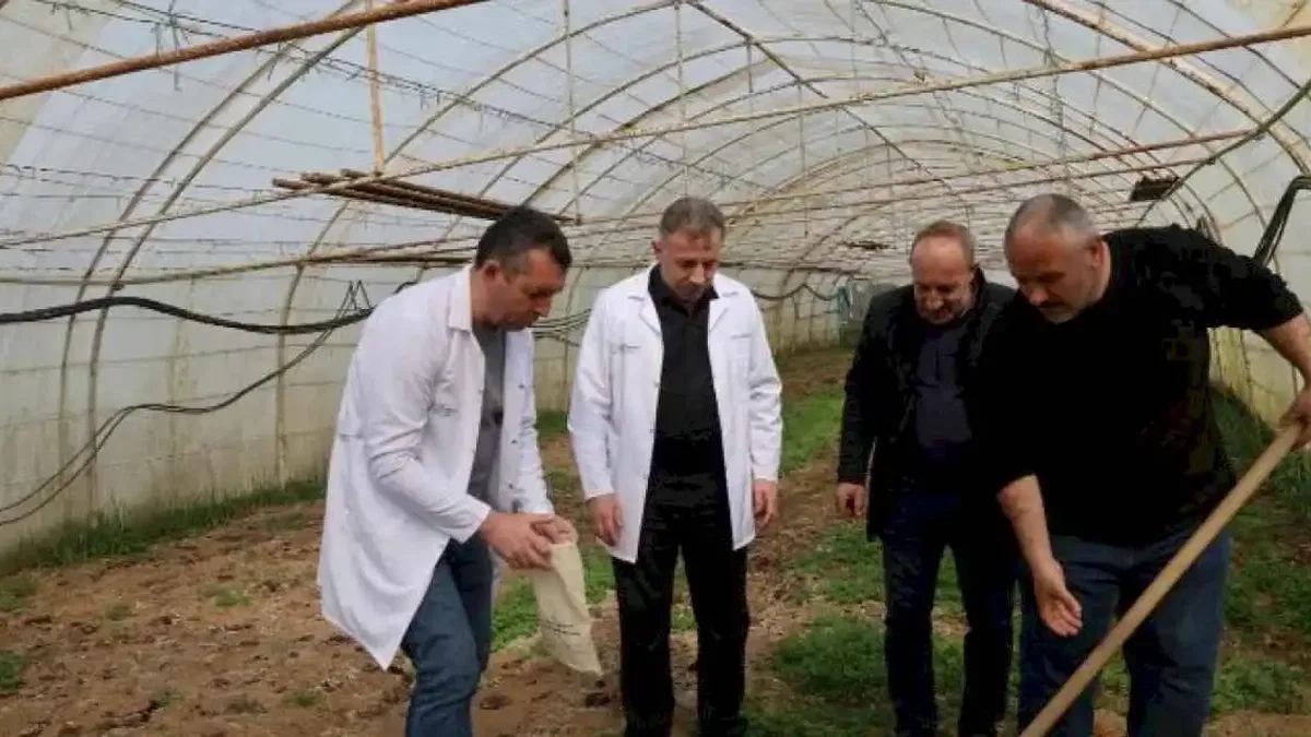 Kocaeli'de üreticiye destek devam ediyor