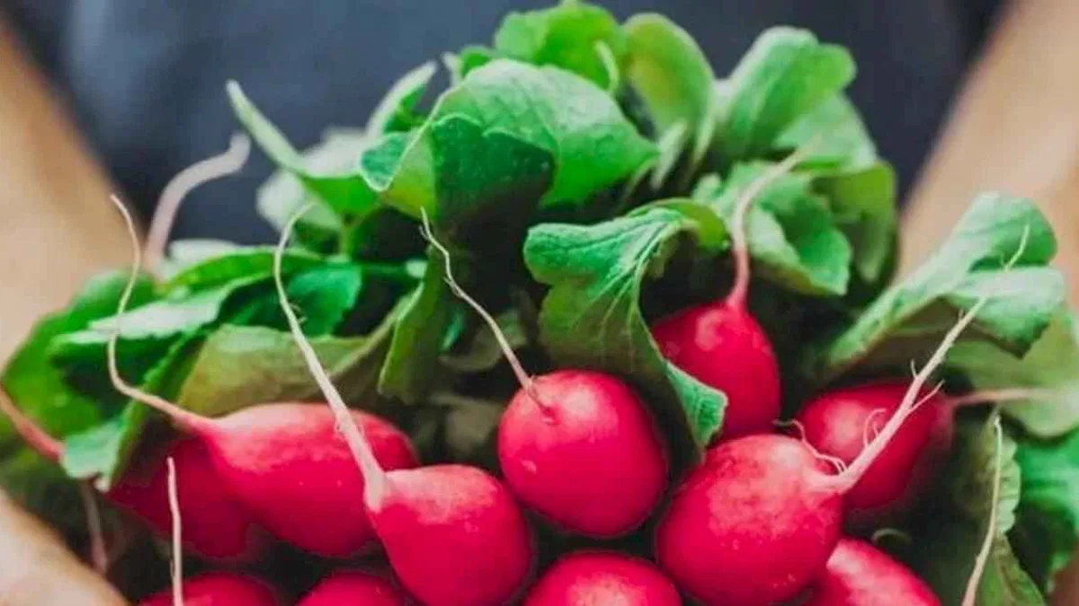 Pestisitte 'turp yaprakları' ayarı!