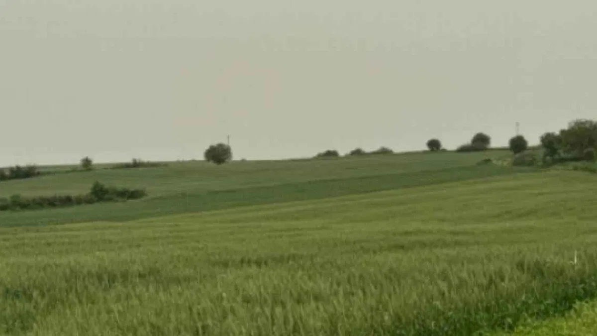 Enez’de tarım ve orman alanına RES için ÇED süreci