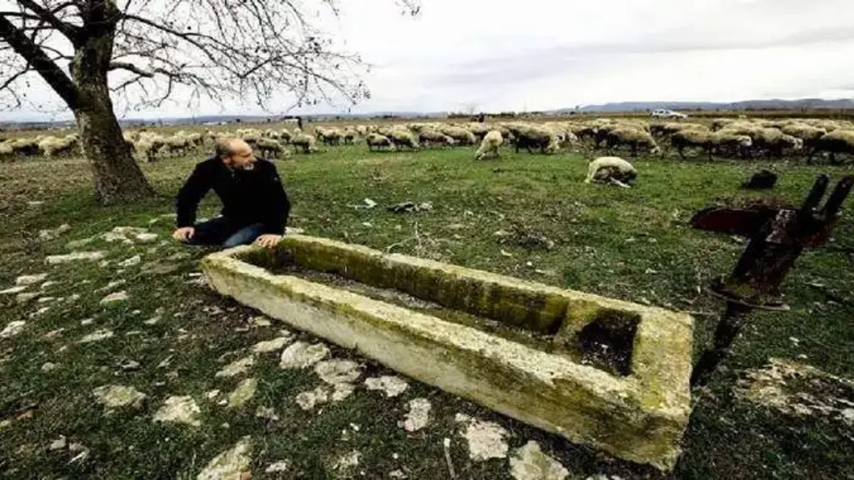 Bursa Yenişehir Ovası'nda yer altı suları çekiliyor