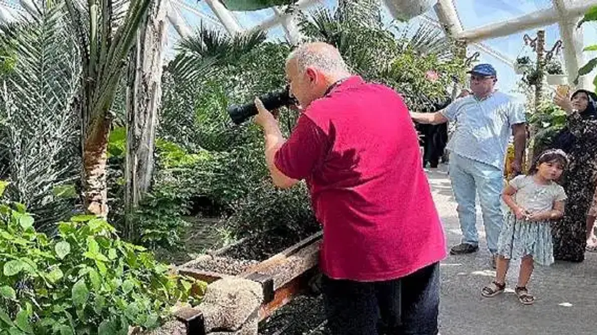 Konya Tropikal Kelebek Bahçesi yaz aylarının favori ziyaret mekanı oldu