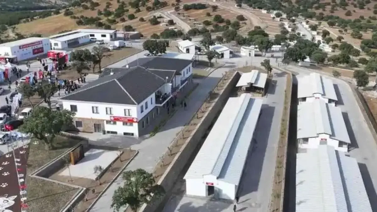 Manisa’da sokak hayvanları için Hayvan Yaşam Merkezi hizmete açıldı