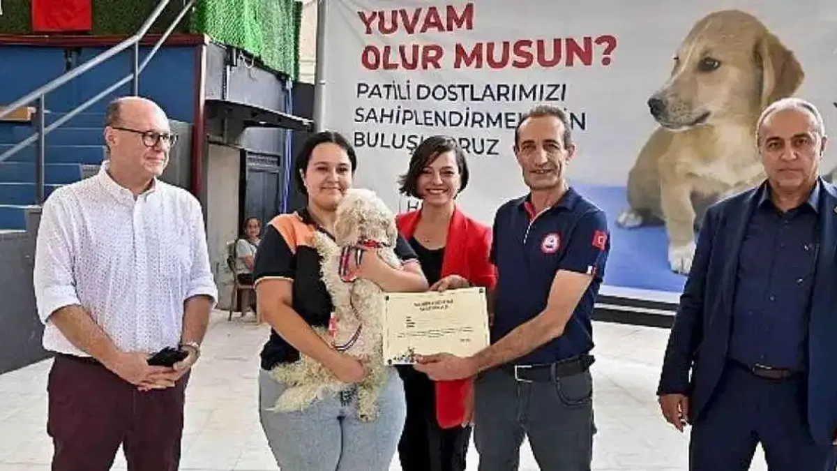 Karabağlar patili dostlar için buluşuyor