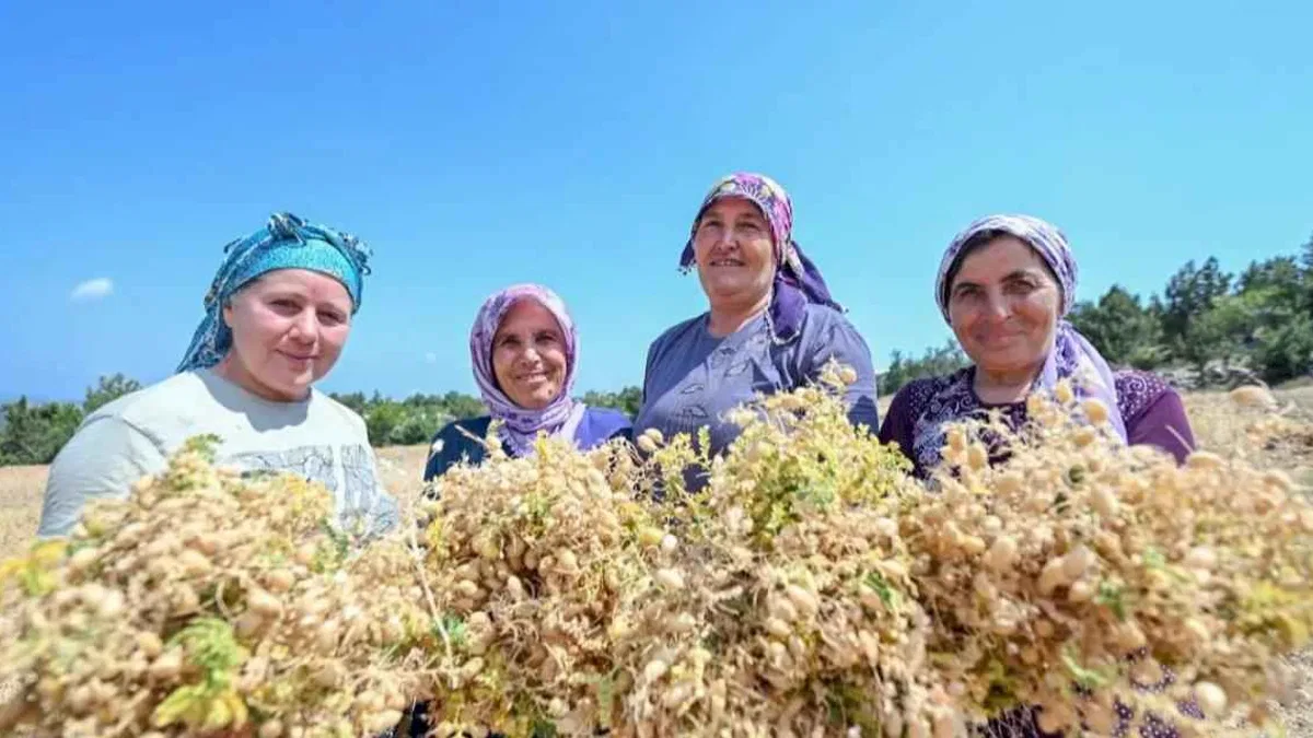 Atalık tohumlar geleceğe taşınıyor