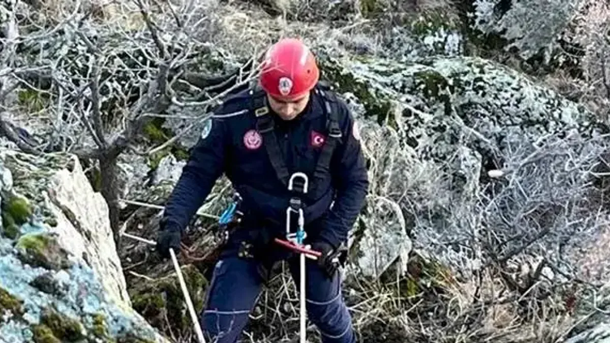 Kayseri Büyükşehir'den 'keçi' operasyonu