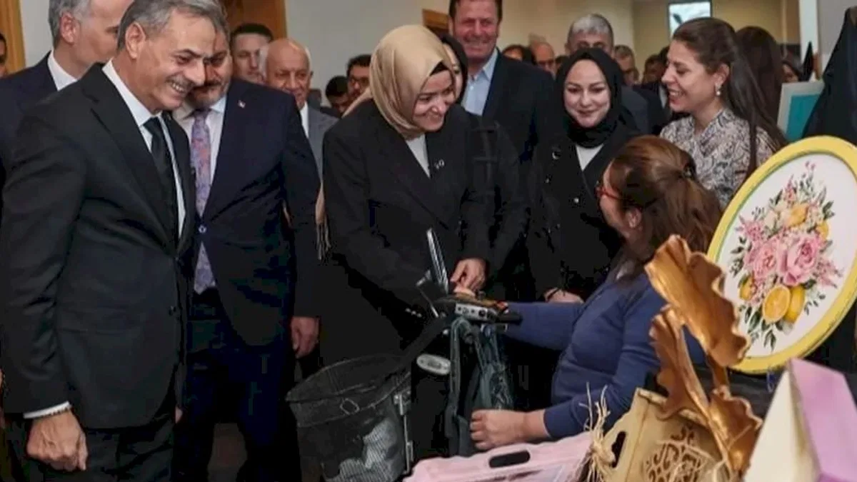 Cumhurbaşkanı ödüllü projeyle Sakarya'da ulaşımda engeller kalktı