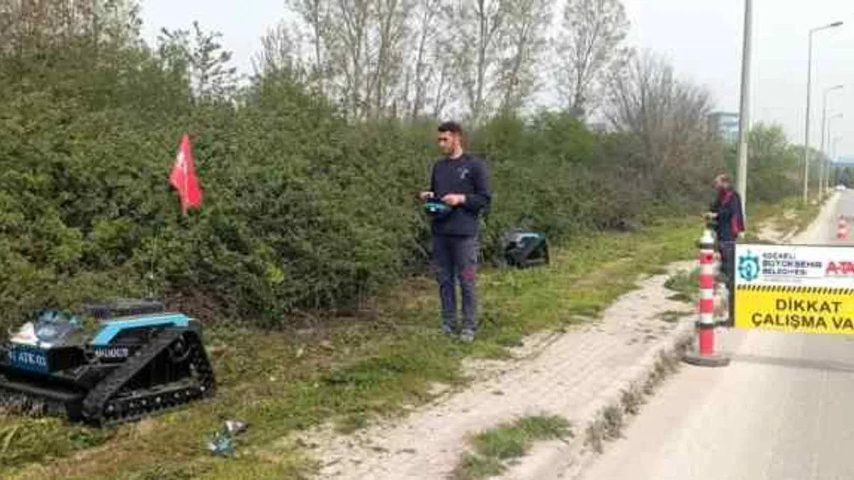 Kocaeli'de 'çalı canavarı' durmak bilmiyor