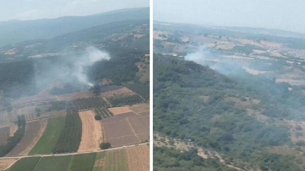 Bursa'da üç ilçede 4 farklı noktada yangın!